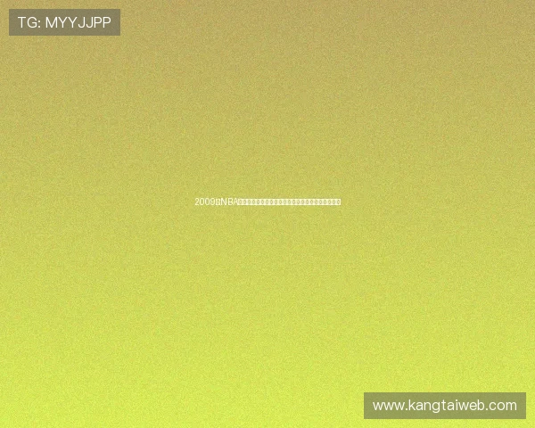 2009年NBA季后赛热火与公牛激战回顾精彩瞬间与球员表现分析